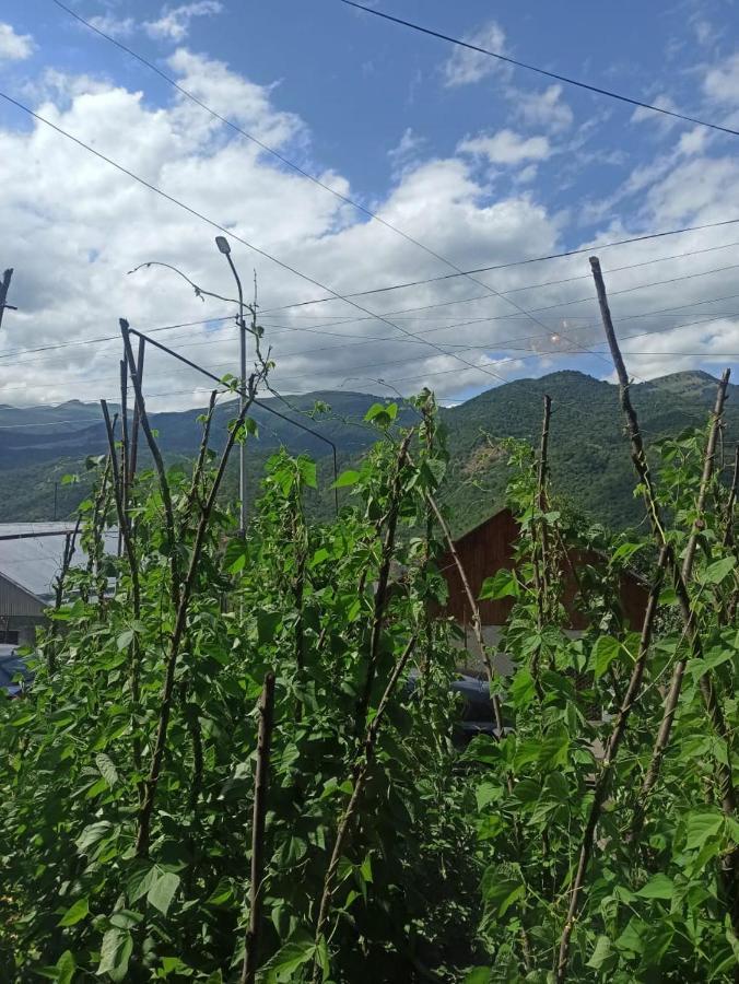 Apartamento Bbq House Dilijan Exterior foto