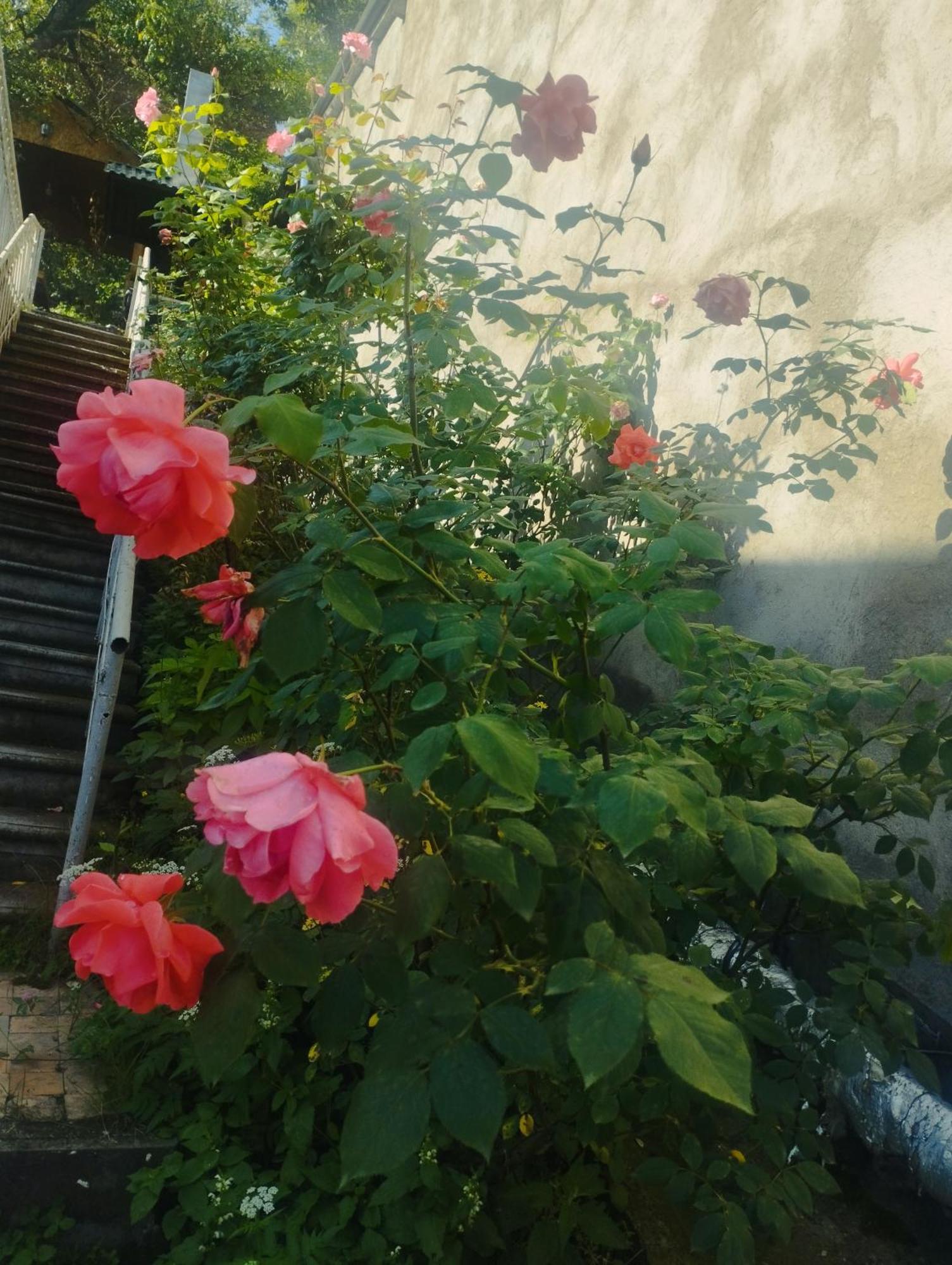 Apartamento Bbq House Dilijan Exterior foto